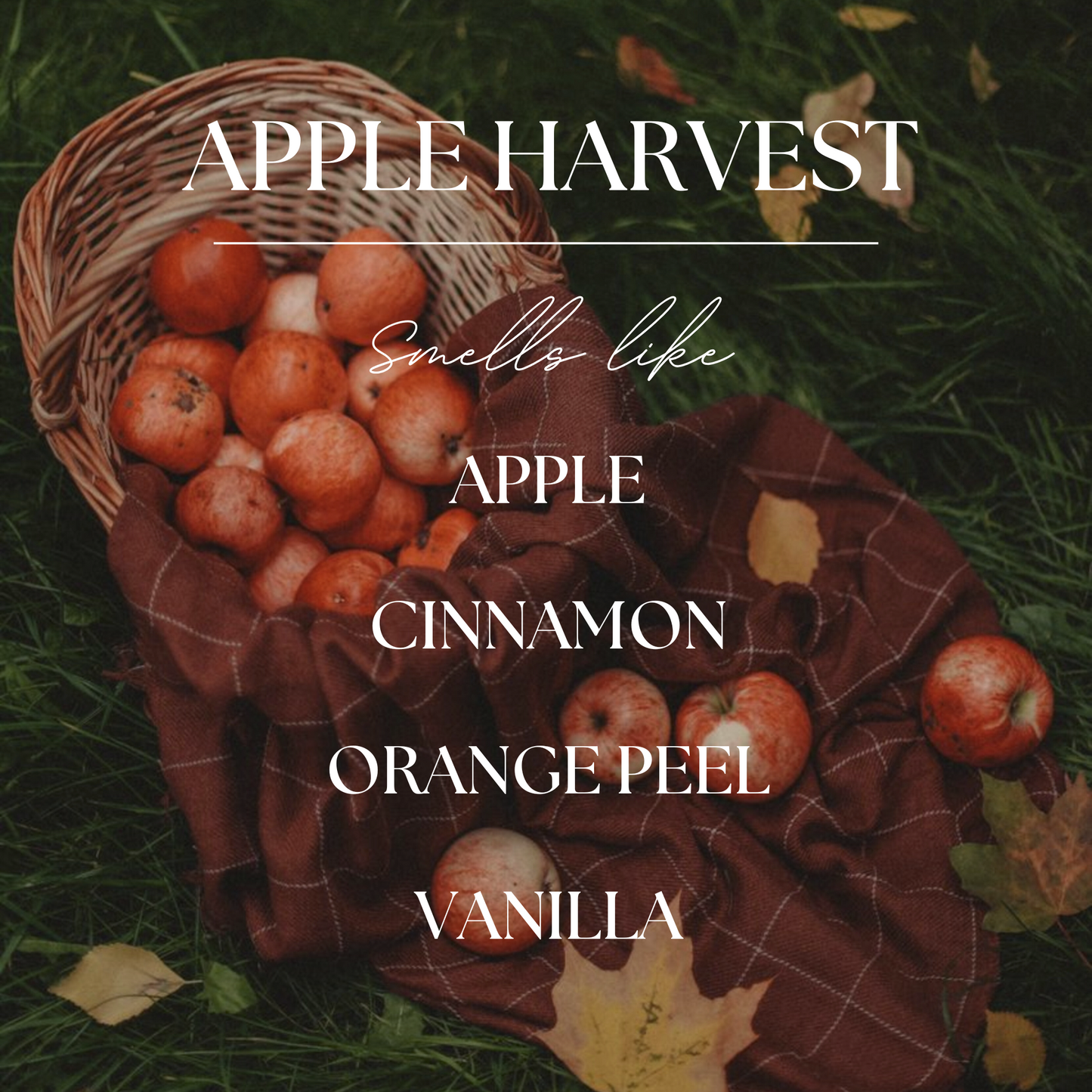 Apple Harvest | Apple, Cinnamon, Clove| 9oz