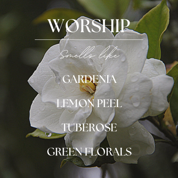 Worship | Gardenia & Tuberose | 2.4oz Wax Melt