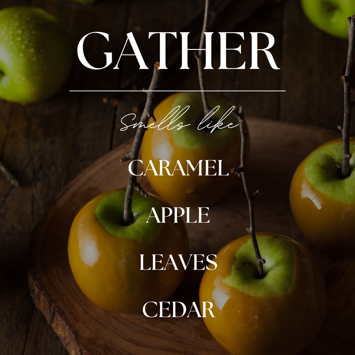 Gather | Caramel Apple & Fallen Leaves | 15oz 3-wick