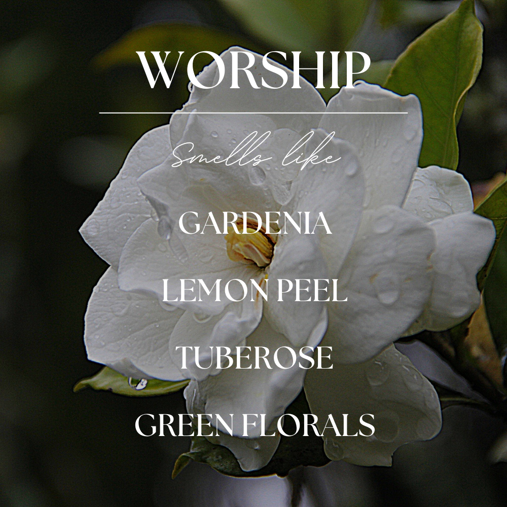 Worship | Gardenia & Tuberose | 9oz