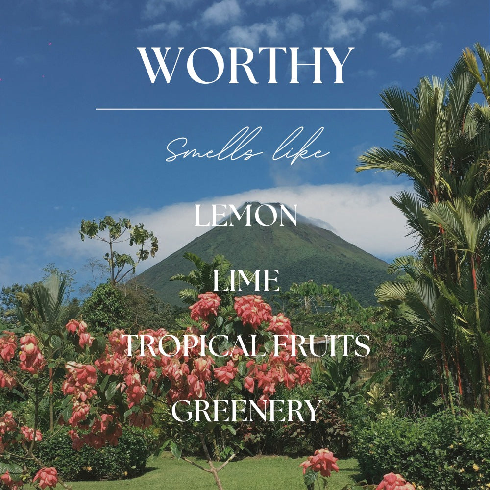 Worthy | Tropical Fruits & Citrus | 2.4oz