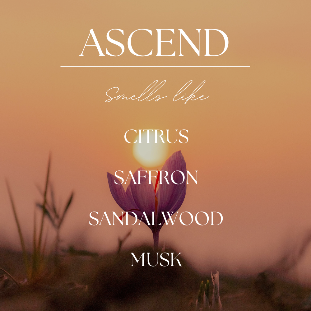 Ascend | Coastal Santal | The Reverence Collection | 9oz