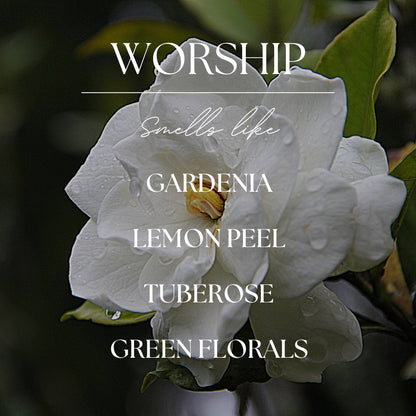 Worship | Gardenia & Tuberose | 15oz