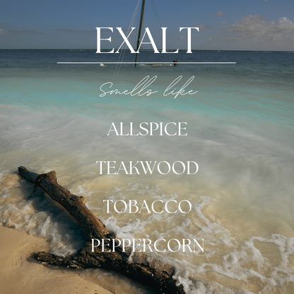Exalt | Caribbean Teakwood | 2.4oz Wax Melt