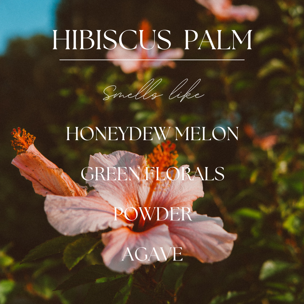 Hibiscus Palm | 6ml Car Diffuser